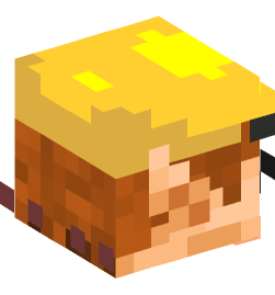 Minecraft head — People