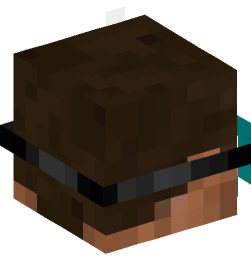 Minecraft head — People