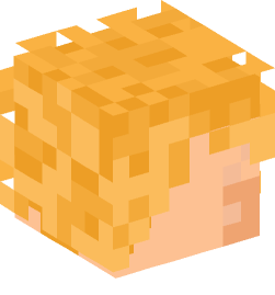 Minecraft head — People