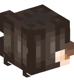 Minecraft head — People