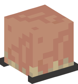 Minecraft head — Creatures