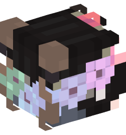 Minecraft head — People