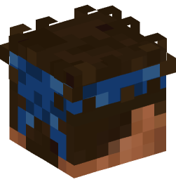 Minecraft head — People