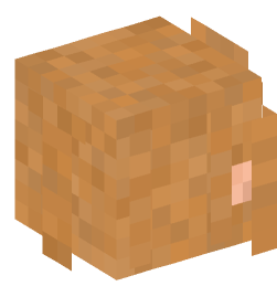 Minecraft head — People