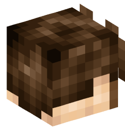 Minecraft head — People