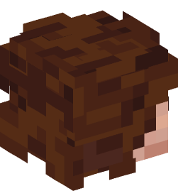 Minecraft head — People