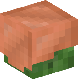 Minecraft head — Creatures