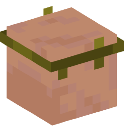 Minecraft head — Creatures