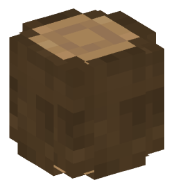 Minecraft head — Blocks