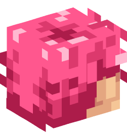 Minecraft head — People