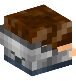 Minecraft head — Decor