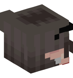 Minecraft head — People