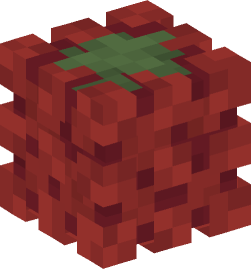 Minecraft head — Plants