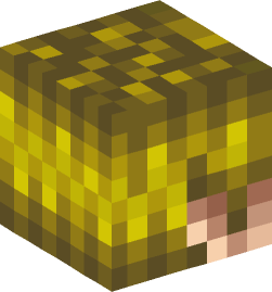 Minecraft head — People