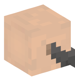 Minecraft head — People