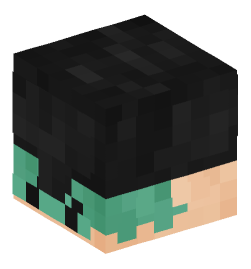 Minecraft head — People