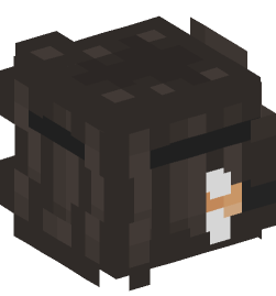 Minecraft head — People