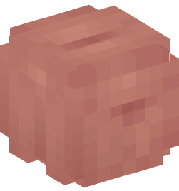 Minecraft head — Miscellaneous