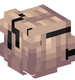 Minecraft head — People