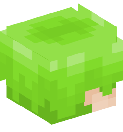 Minecraft head — People