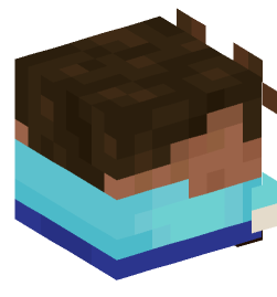 Minecraft head — Decor