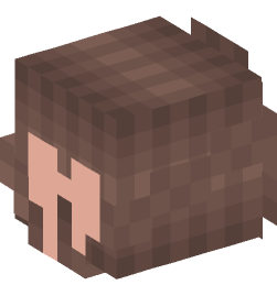 Minecraft head — People