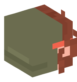 Minecraft head — People