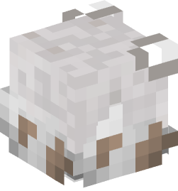 Minecraft head — Decor