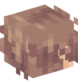 Minecraft head — People