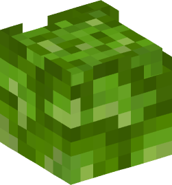 Minecraft head — Plants