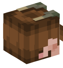 Minecraft head — Creatures