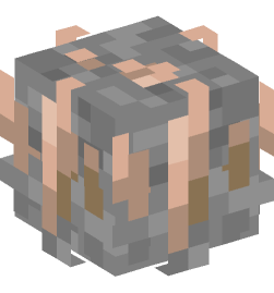 Minecraft head — Decor