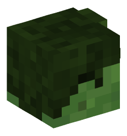 Minecraft head — Creatures