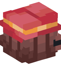Minecraft head — People