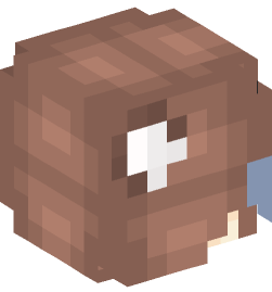 Minecraft head — People