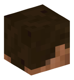 Minecraft head — Decor