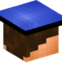 Minecraft head — People