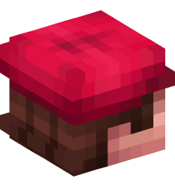 Minecraft head — People