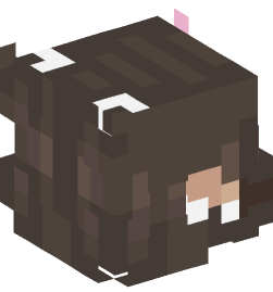 Minecraft head — People