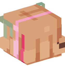 Minecraft head — People