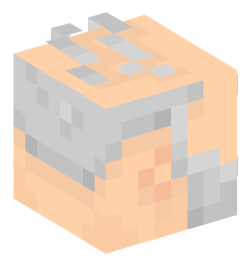 Minecraft head — People