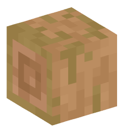 Minecraft head — Blocks