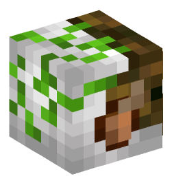 Minecraft head — People