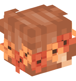 Minecraft head — People