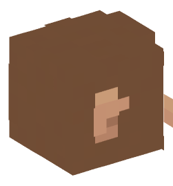 Minecraft head — Animals