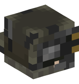 Minecraft head — People