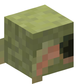 Minecraft head — Creatures