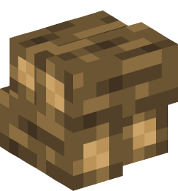 Minecraft head — Decor