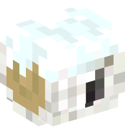 Minecraft head — Blocks