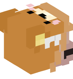 Minecraft head — People